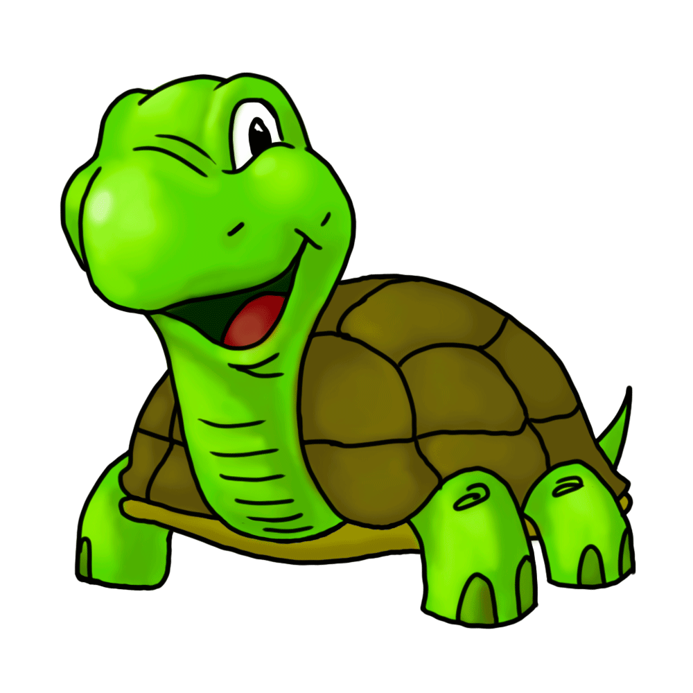 Cartoon Turtles To Draw Images & Pictures - Becuo