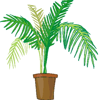 Clip Art - Clip art palm tree 374391