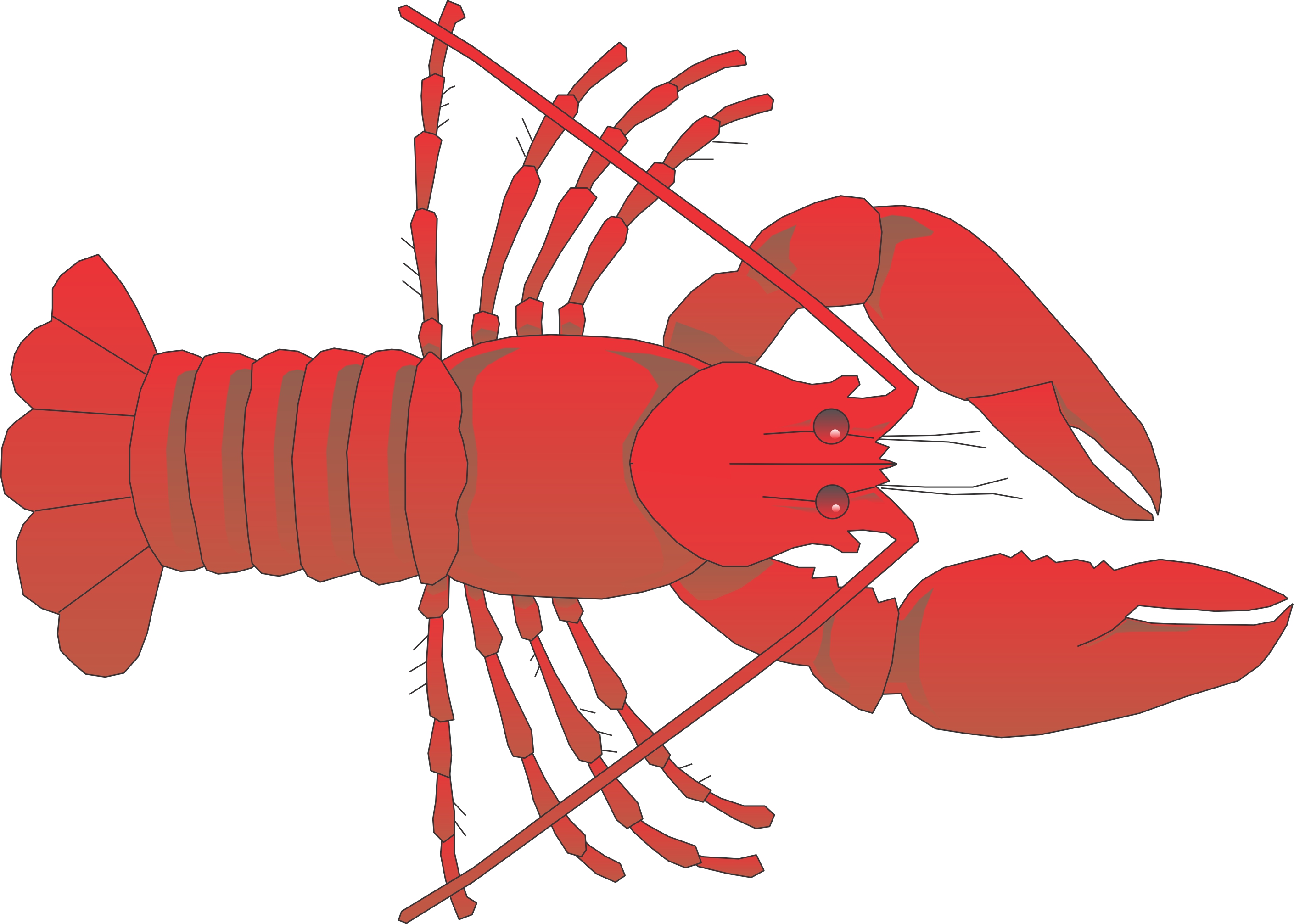 lobster clipart vector - photo #33