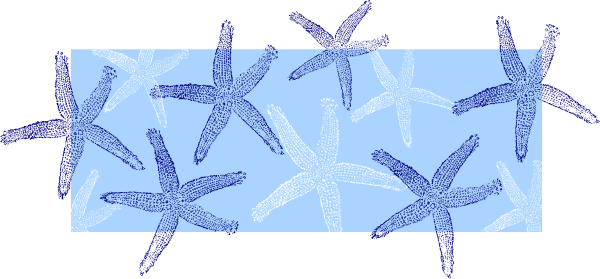 Blue White Starfish clip art - vector clip art online, royalty ...