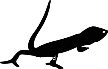 Silhouettes : bearded-dragon-silhouette-1108-14 : Classroom Clipart
