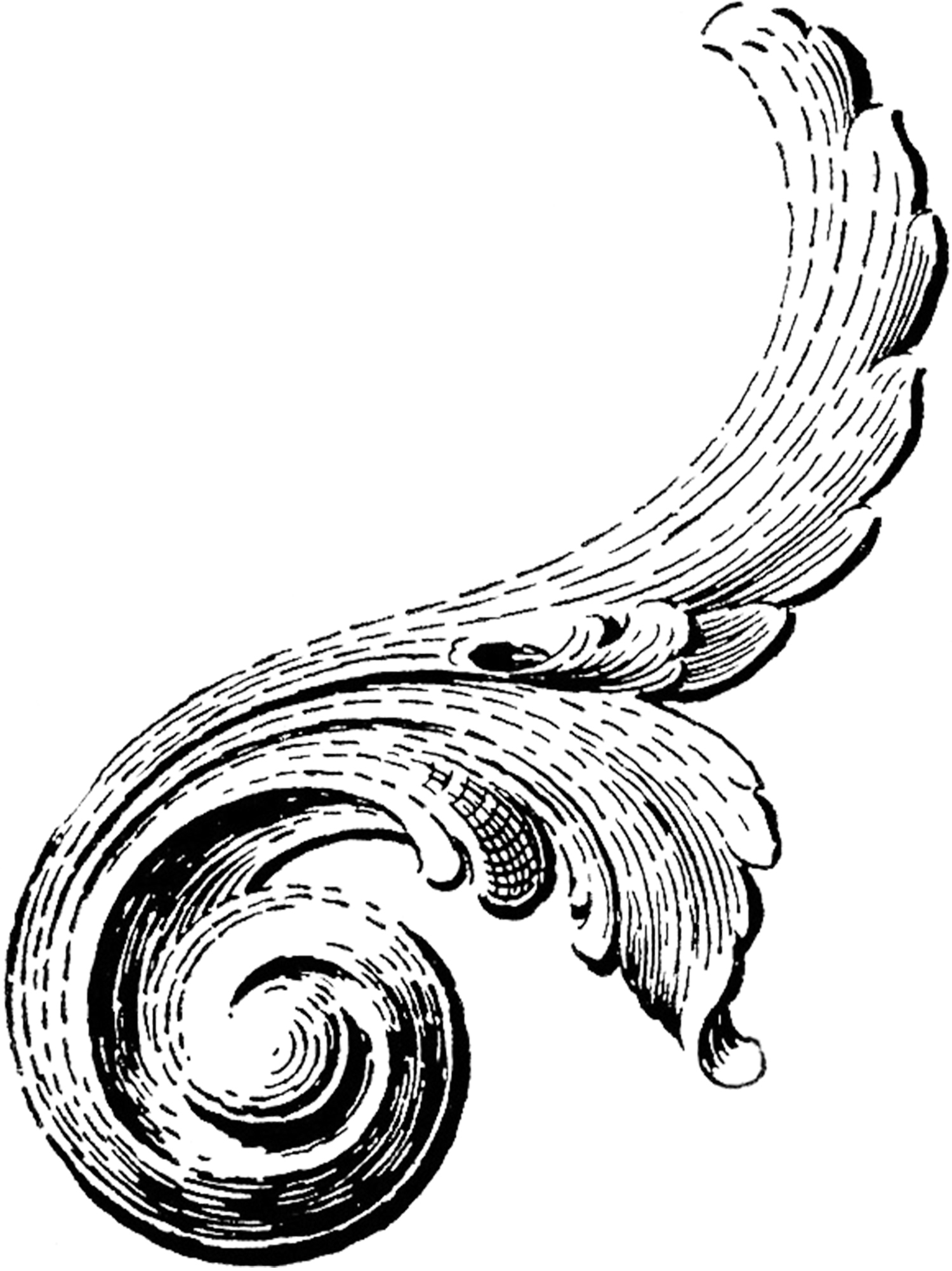 Images For > Victorian Scroll Clip Art