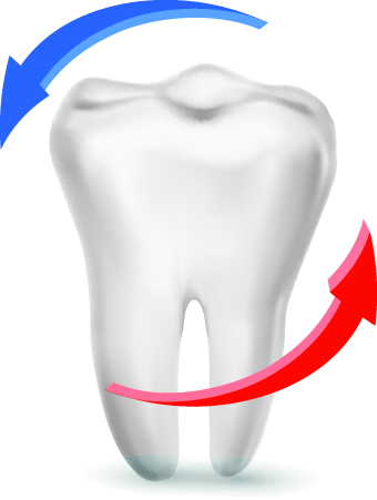 Amusing Dental design elements vector 03 - Vector Other free download