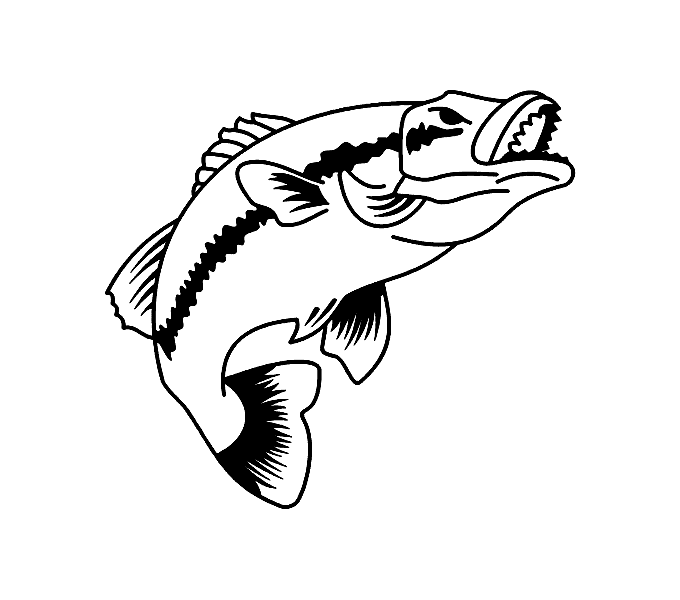 Black And White Fish - ClipArt Best