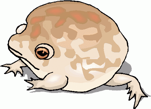 australian_burrowing_frog clipart - australian_burrowing_frog clip art