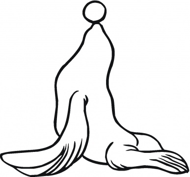 Drawings Of Sea Lion - ClipArt Best