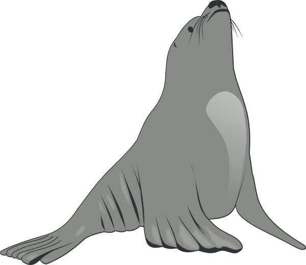 Valessiobrito Sea Lion clip art - vector clip art online, royalty ...