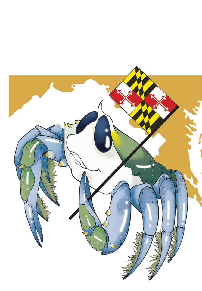 Maryland Blue Crab by kireihiryu on deviantART