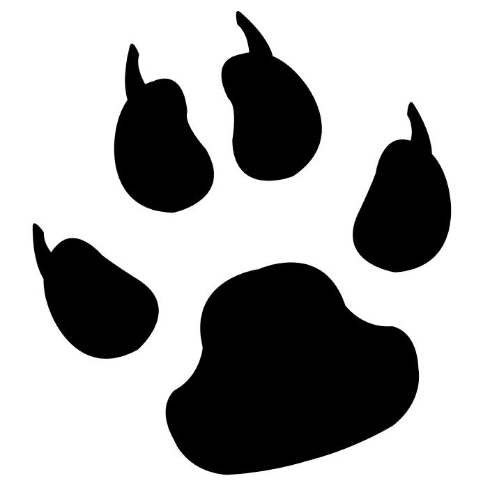 Bear Paw Picture
