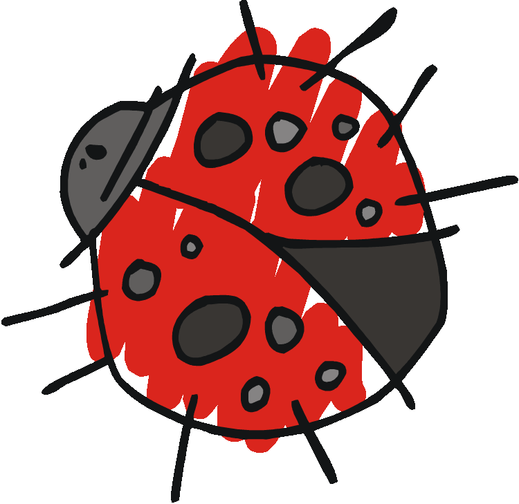 Images Of Ladybugs