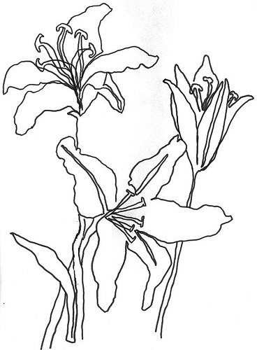 Flower Line Drawing - Cliparts.co