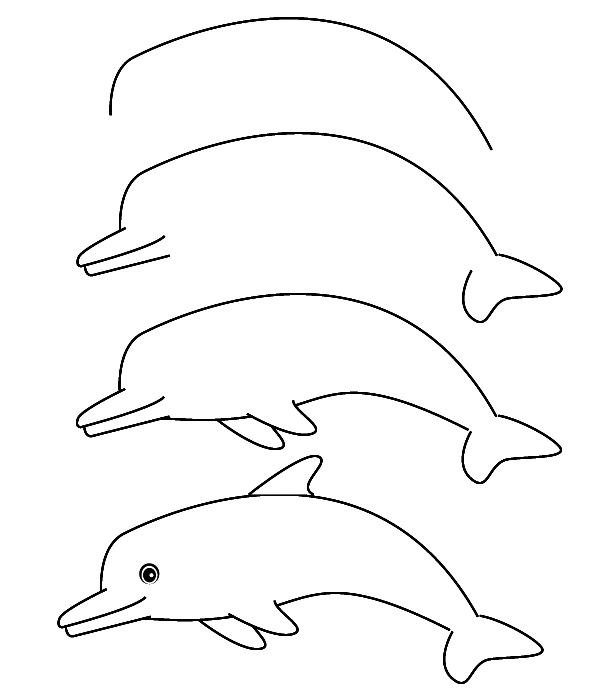 How to draw a dolphin | Art Resources and Handouts | Pinterest