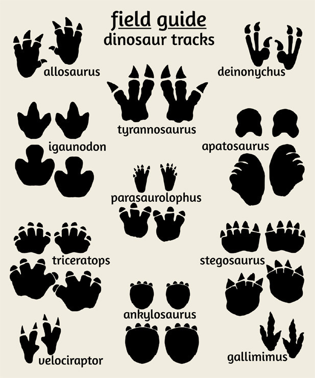 Life Size Dinosaur Footprint Printable Printable World Holiday