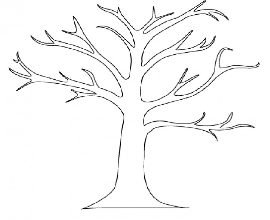 Outline Of A Tree - AZ Coloring Pages