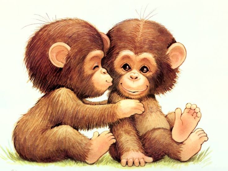 Monkey Love