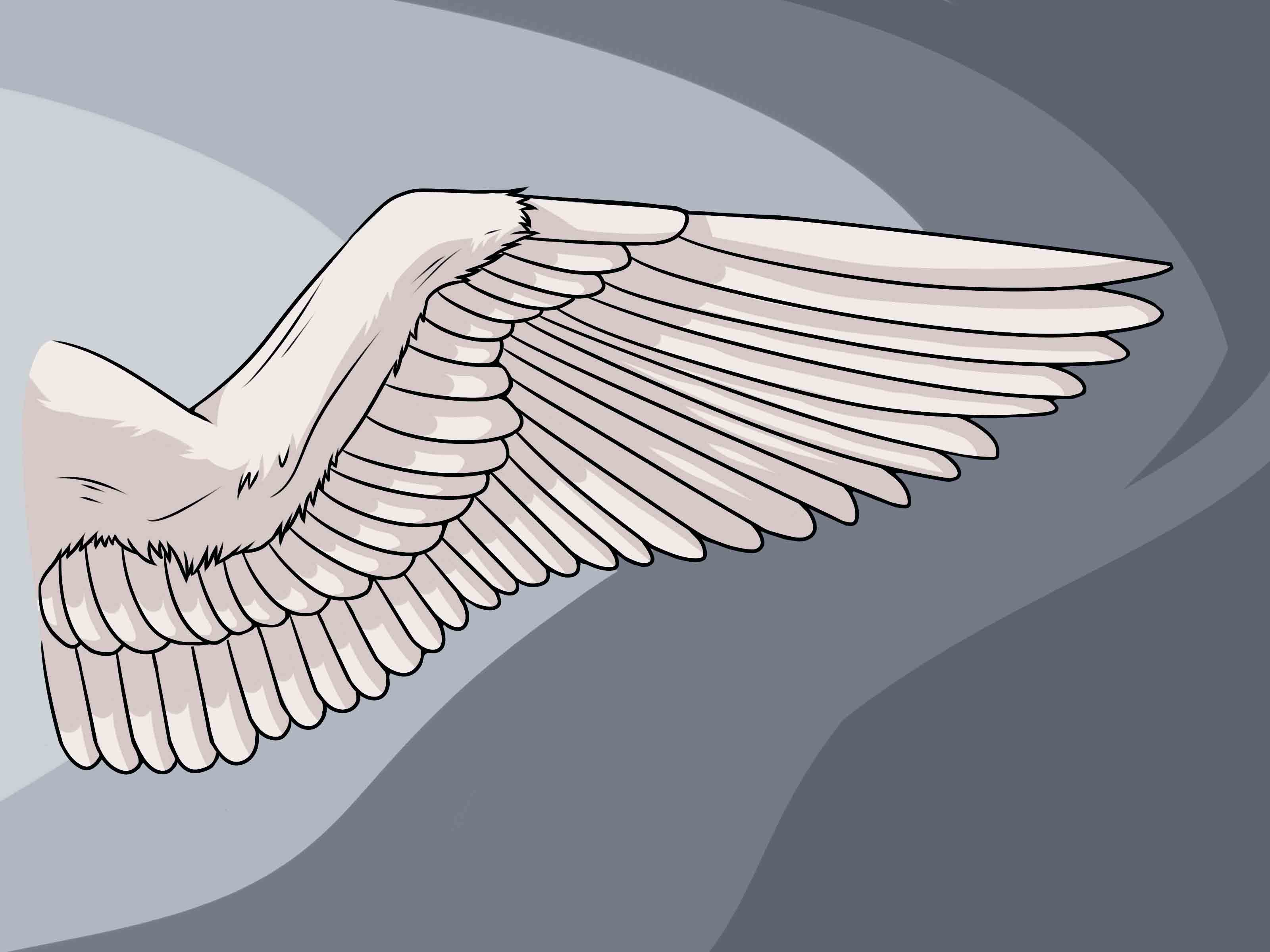 How to Draw Wings: 12 Steps (with Pictures) - wikiHow