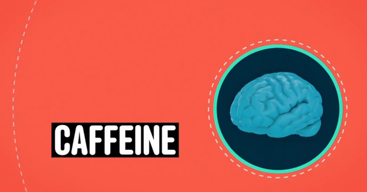 What's Actually Inside An Average Cup of Coffee – Video Infographics