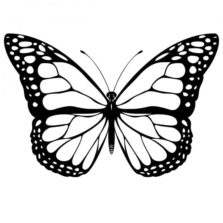 Butterfly Monarch -Clipart Pictures | Butterflies | Pinterest
