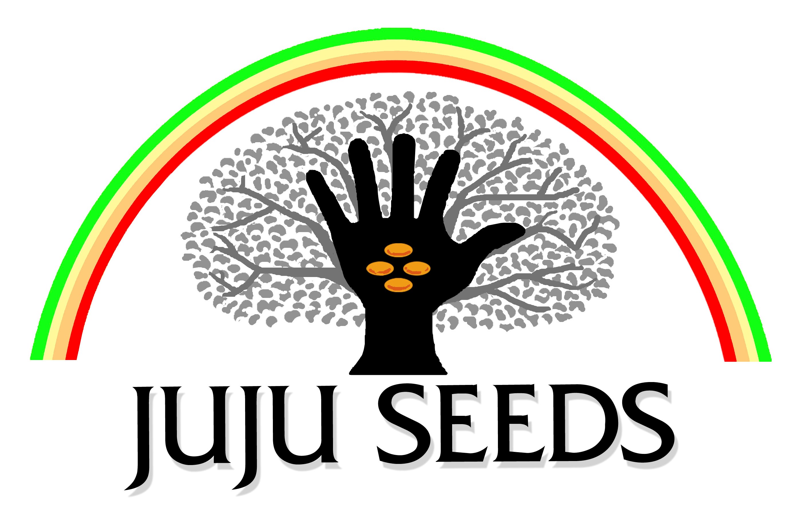 Juju Seeds | planting ideas of empowerment – creating possibilities