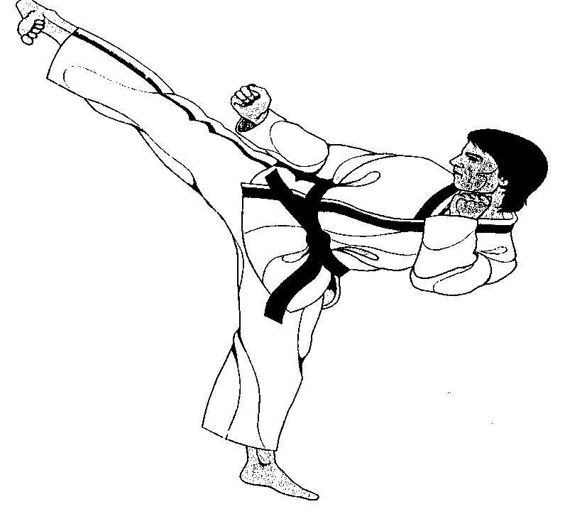 SideKick - martial arts Picture