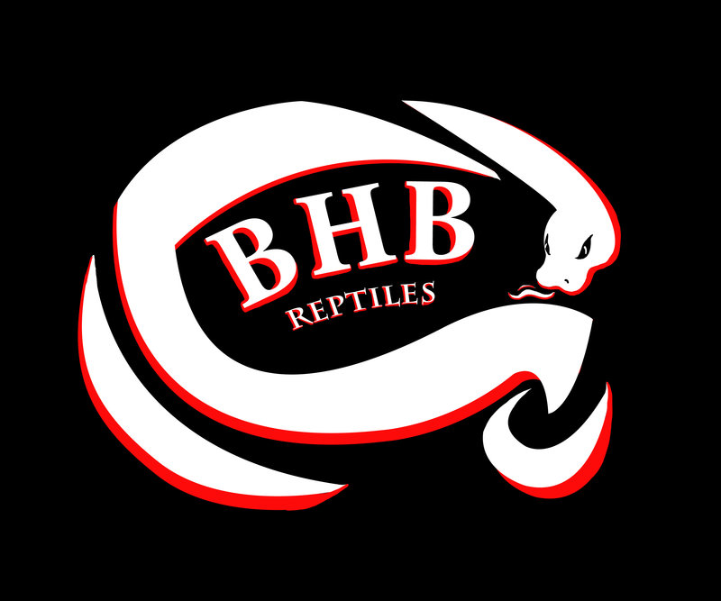 BHB Reptiles Logo by NadilynBeato on deviantART