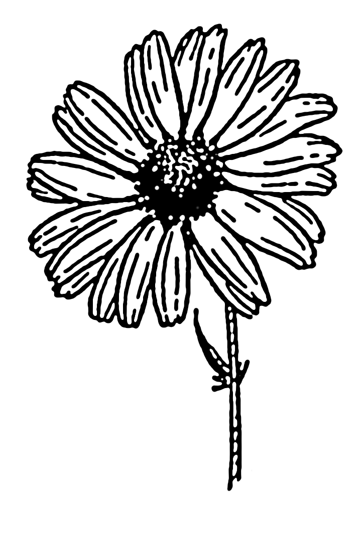 File:Daisy (PSF).png - Wikimedia Commons