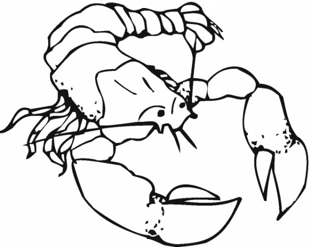 Lobster Coloring Page - Coloring For KidsColoring For Kids