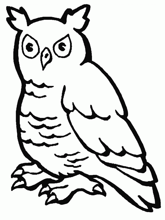 Owl - Owl Coloring Pages : Coloring Pages for Kids – kidzcoloring.