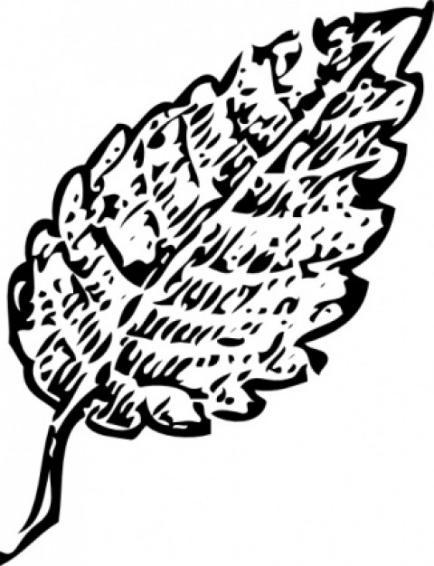 Outline Leaf clip art Vector | Free Download
