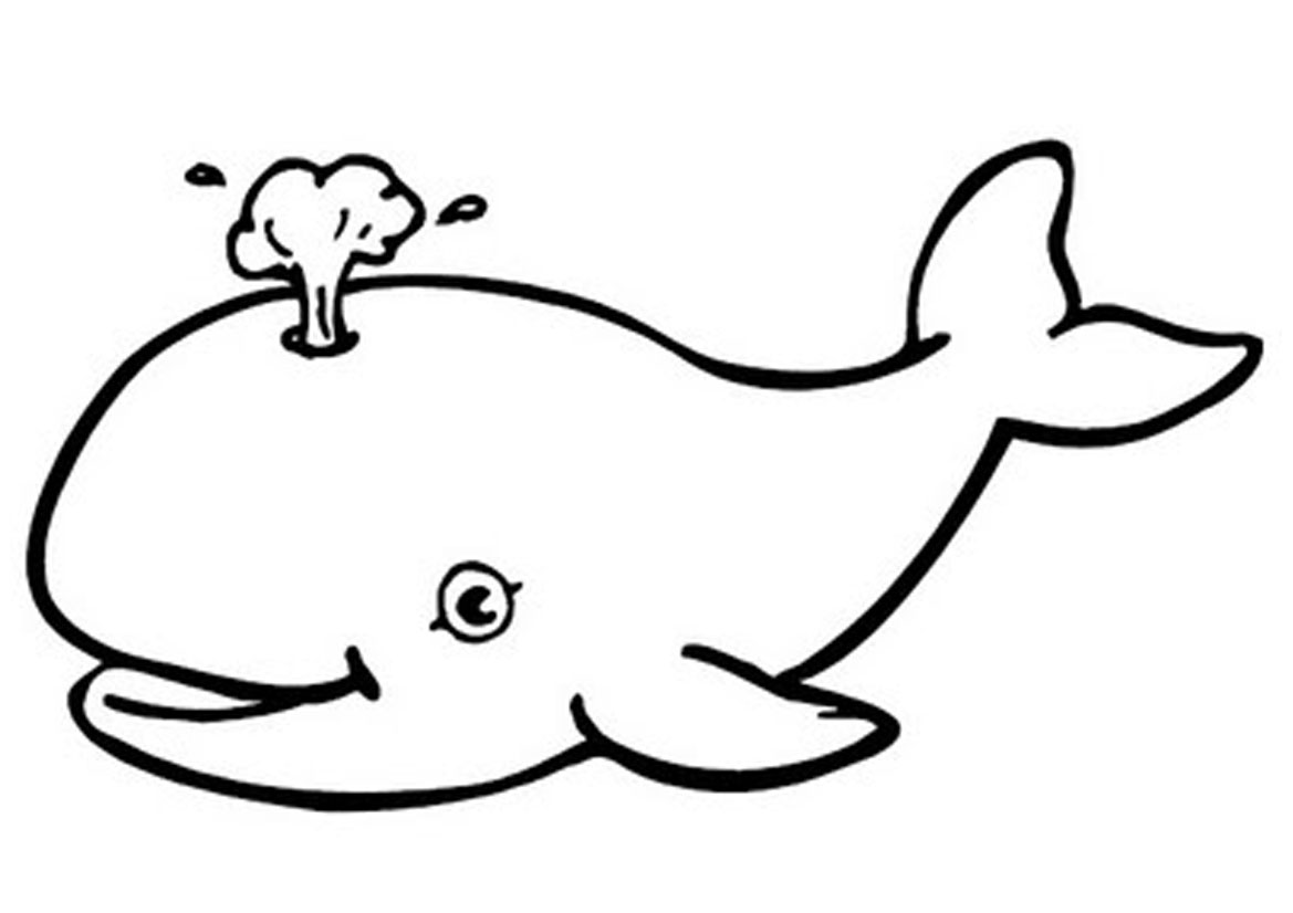 Whale Line Drawing - ClipArt Best