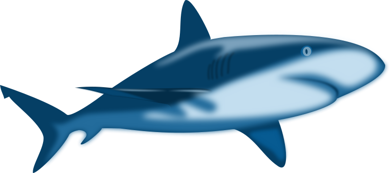 Free Shaded Blue Shark Clip Art - ClipArt Best - ClipArt Best