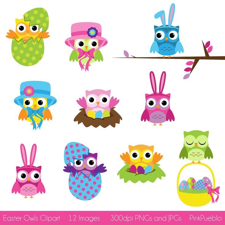 Easter Owls Clipart, Easter Clipart Clip Art- Commercial and Personal…