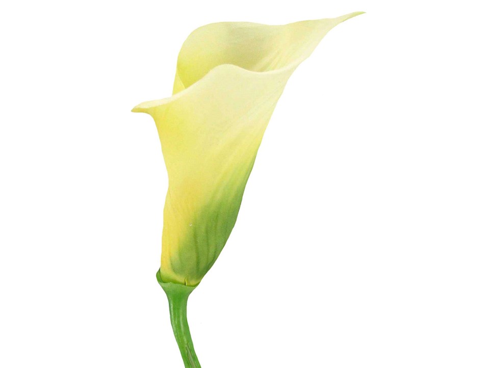 Fresh Picked Light Yellow Calla Lily | Shop Hobby Lobby