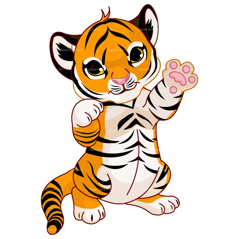 Baby tiger drawingclipart cute | Clipart Panda - Free Clipart Images