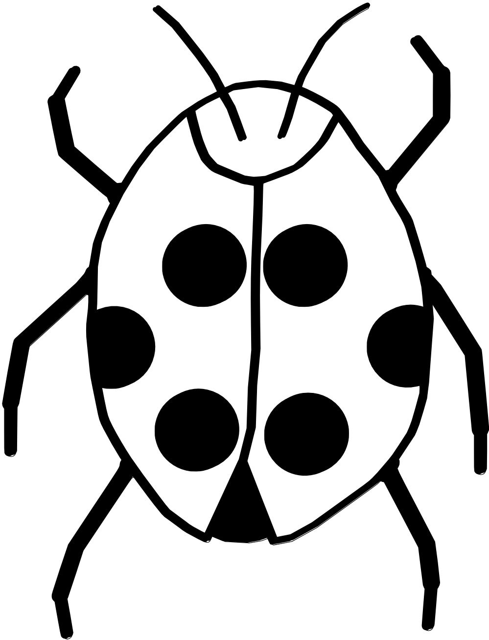 Images For > Ladybug Clip Art Black And White