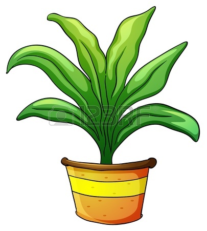 Potted Plant Drawing | Clipart Panda - Free Clipart Images