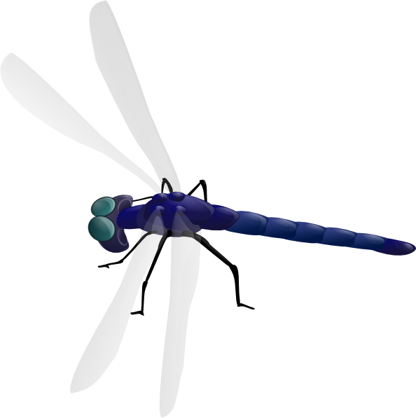 Dragonfly 3 clip art - vector clip art online, royalty free ...