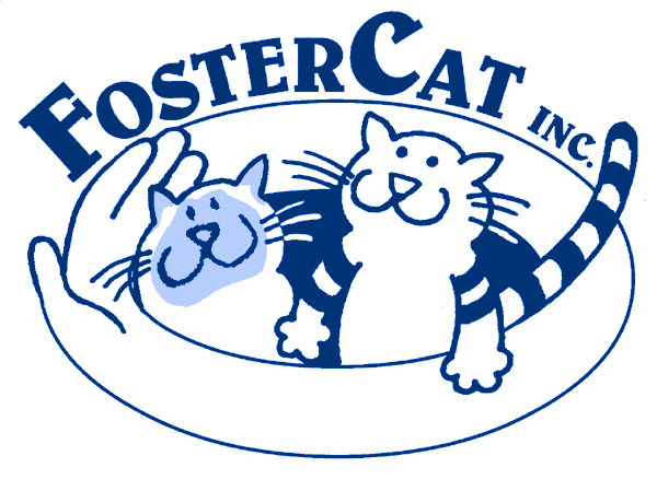 The Creative Cat - FosterCat Annual Benefit Spaghetti Dinner