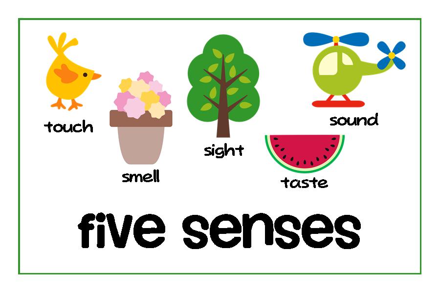 5 Senses Clip Art