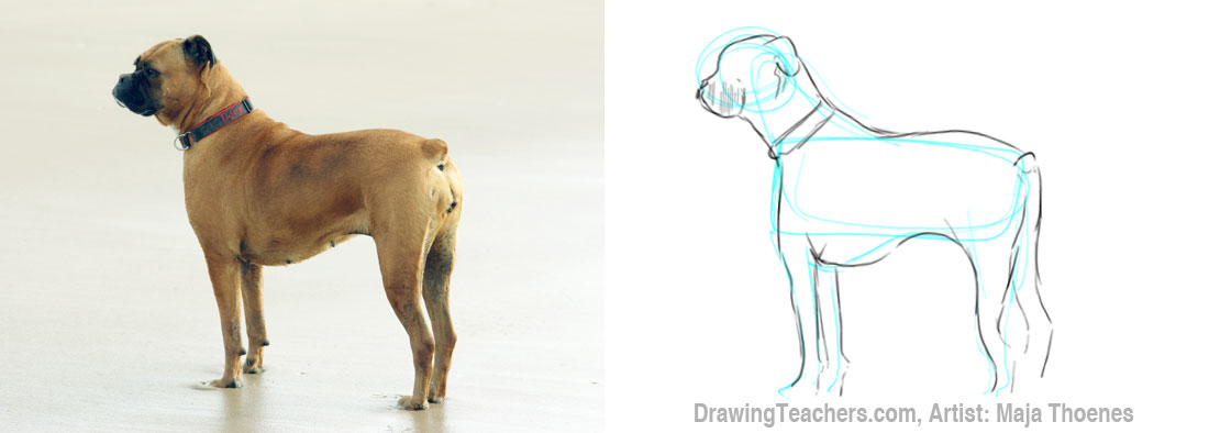 pictures-to-draw-dogs-03-large.jpg