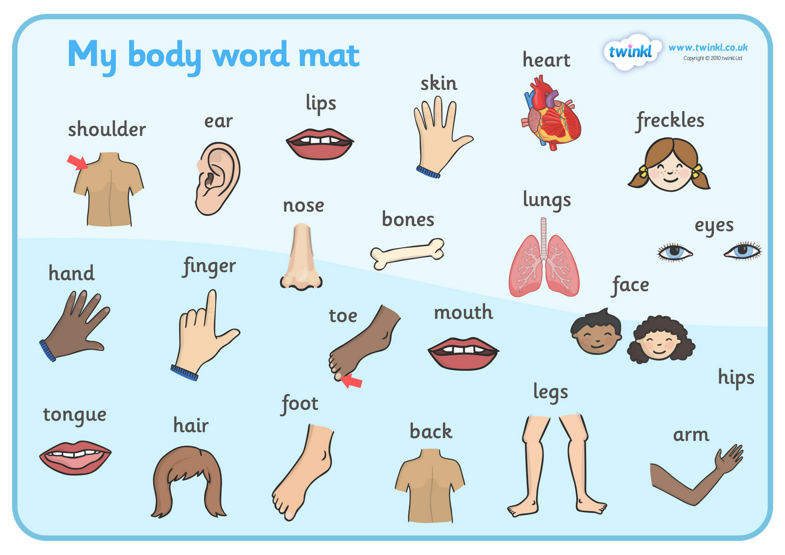 My Body Word Mat Sonja Teacher Cliparts co
