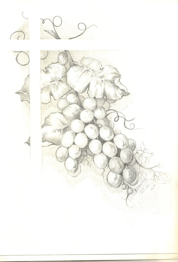 Grapes Pencil Drawing images & pictures - NearPics