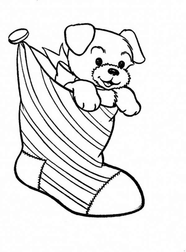 a puppy in a christmas stocking coloring page: a-puppy-in-a ...