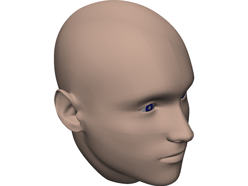 Human Head 3D CAD Model Download | 3D CAD Browser