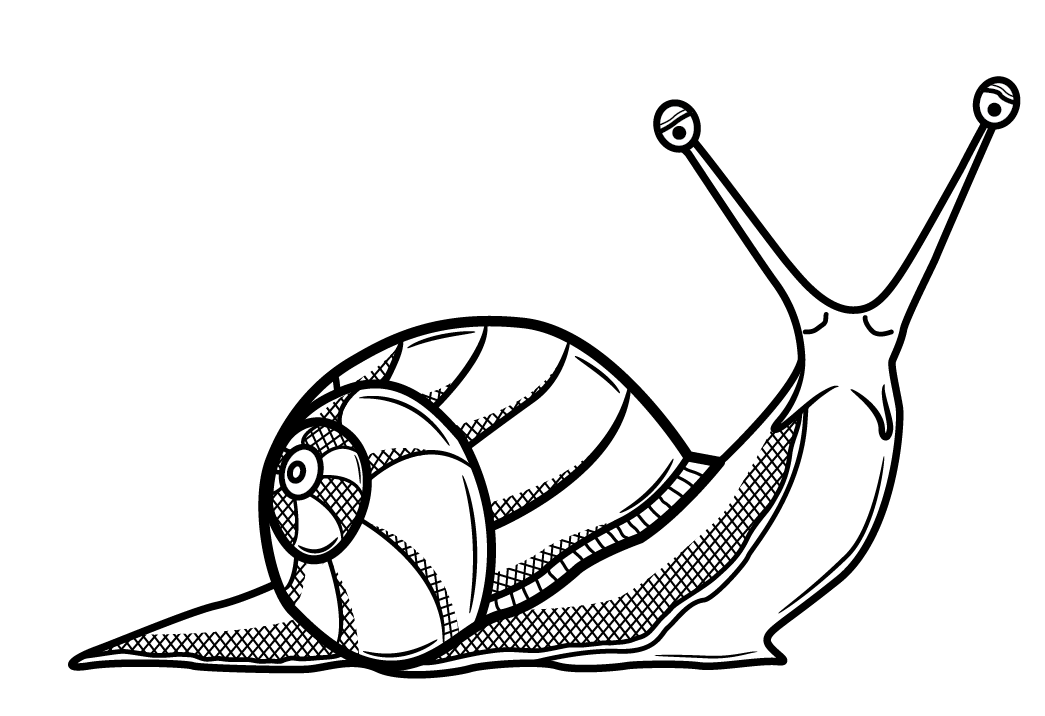 Snail Drawings - AZ Coloring Pages