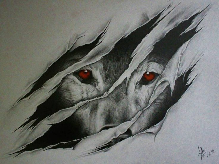 u my wolf on Pinterest | Wolf Drawings, Wolves and Wolves Art
