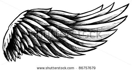 Wings Drawing - Gallery