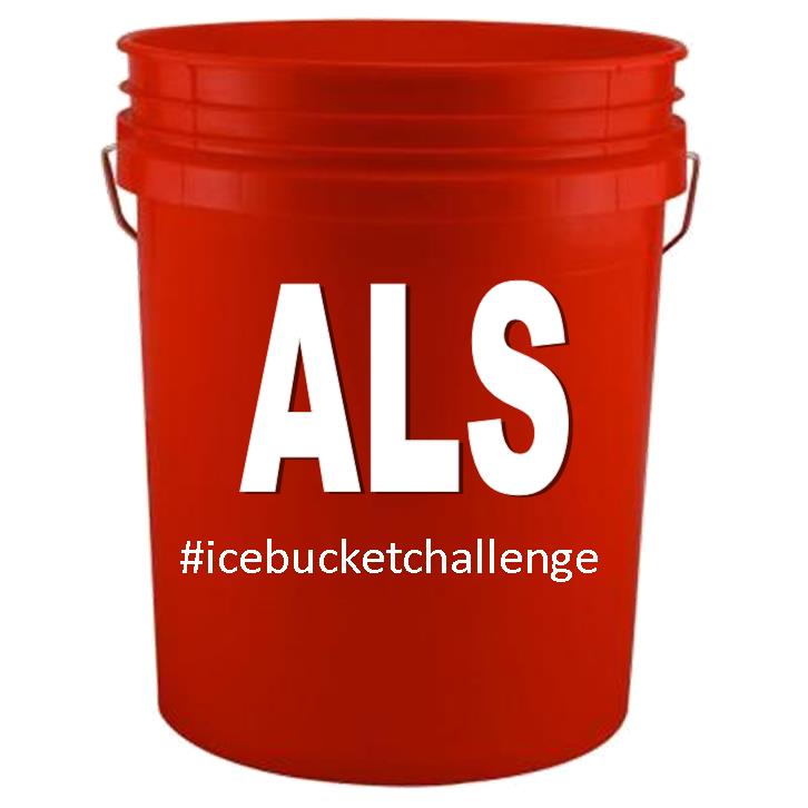 ice bucket challenge | Lynn Schneider Books