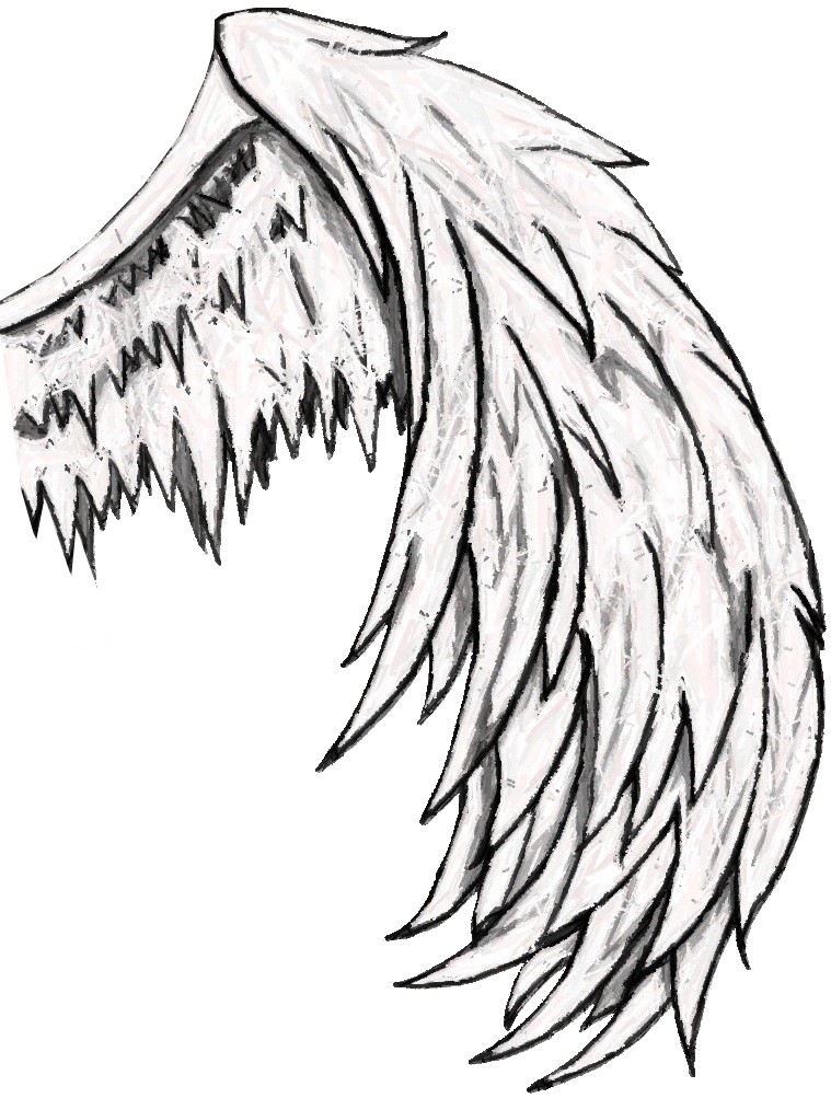 Angel Wing Drawing - ClipArt Best