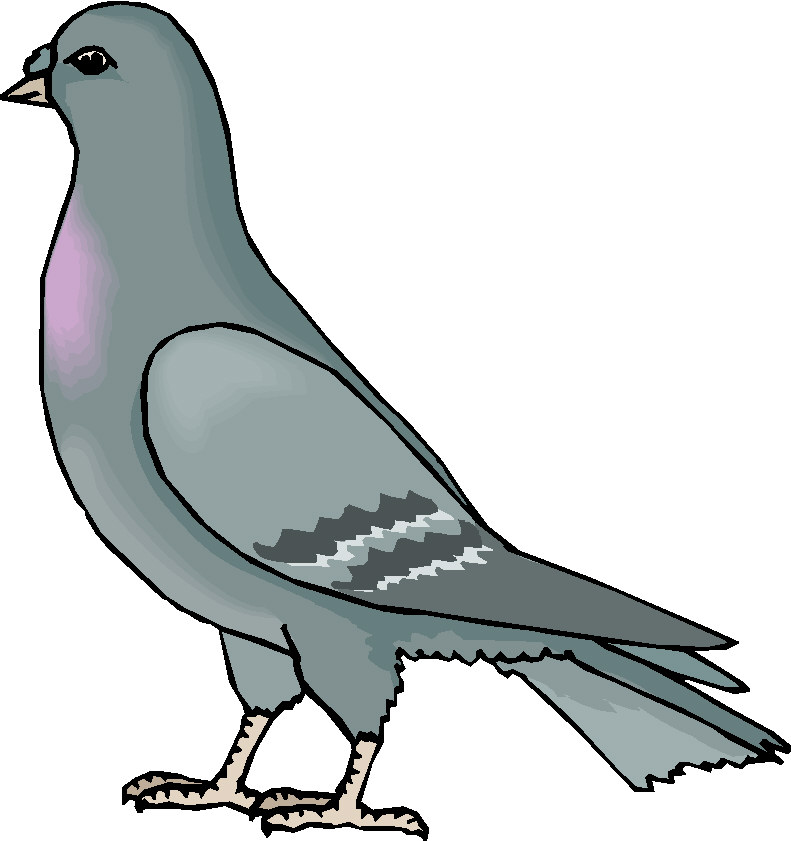 Clip Art - Clip art pigeons 228206